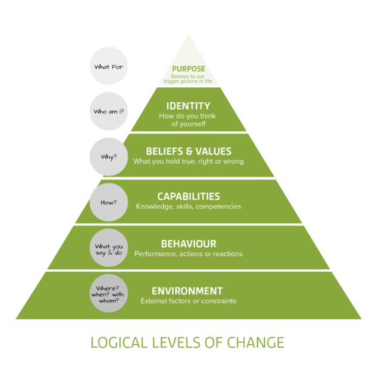 Logical Levels of change