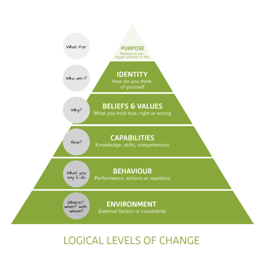 Logical_Levels-01