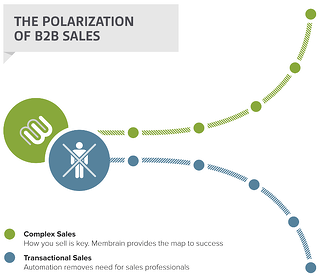 Sales_Polarization-1