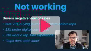 BlueSalesfly-videostart