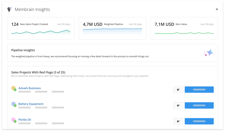 Sales Project Overview insights