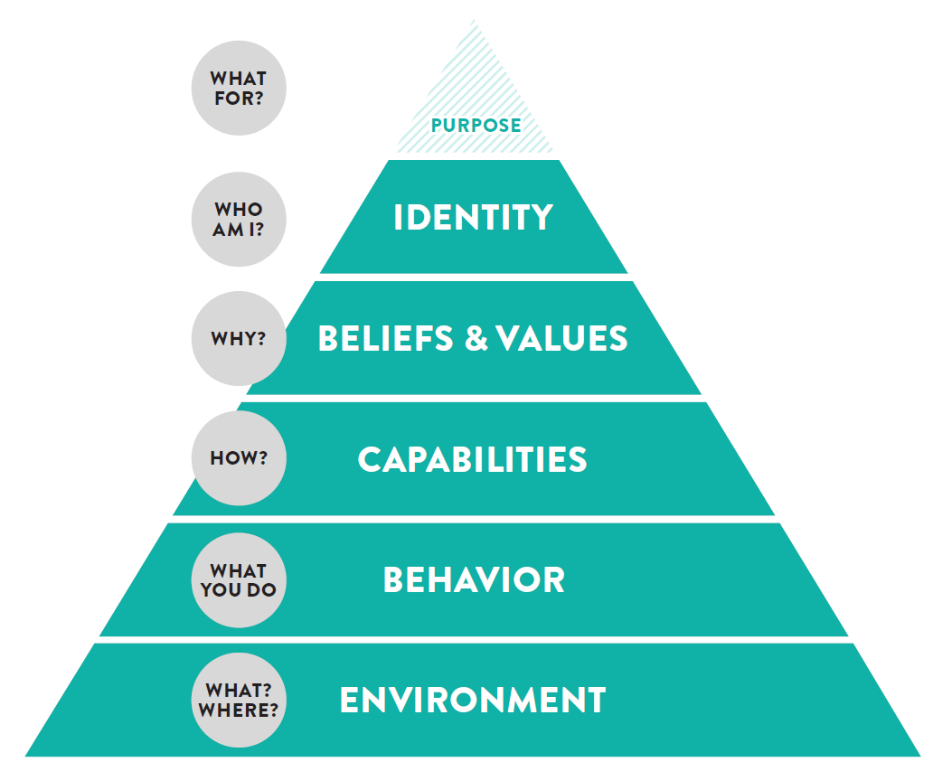 whitepaper-sales-coaching-graph-logical-levels-of-change