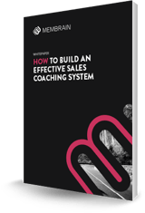 whitepaper-thumbnail-coaching-system