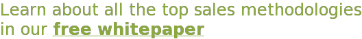 Learn about all the top sales methodologies in our free whitepaper